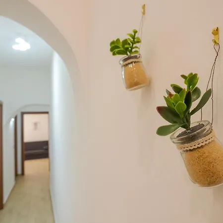 Barraco's House Apartment *